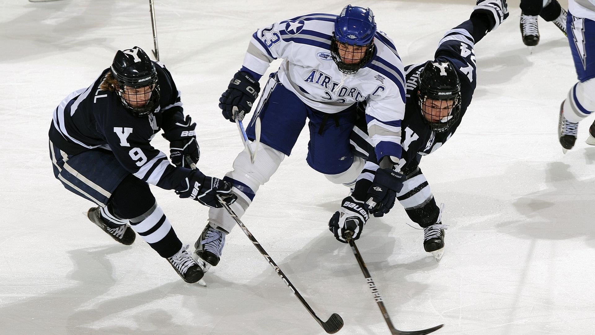 NBA球迷文化持续增长